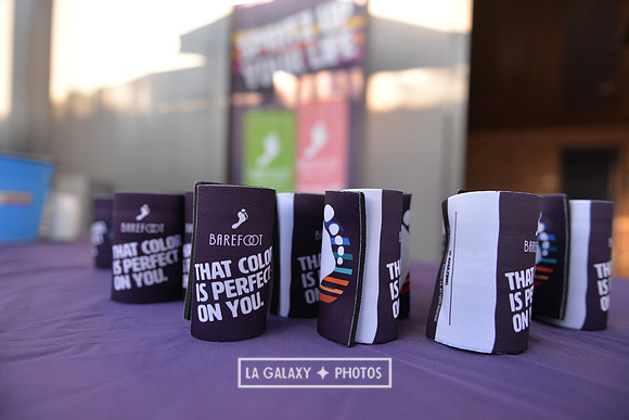 071219_LA_Galaxy_vs_SanJose_SC_1274