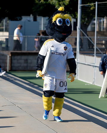 04062024_LA_GALAXY_AD0528
